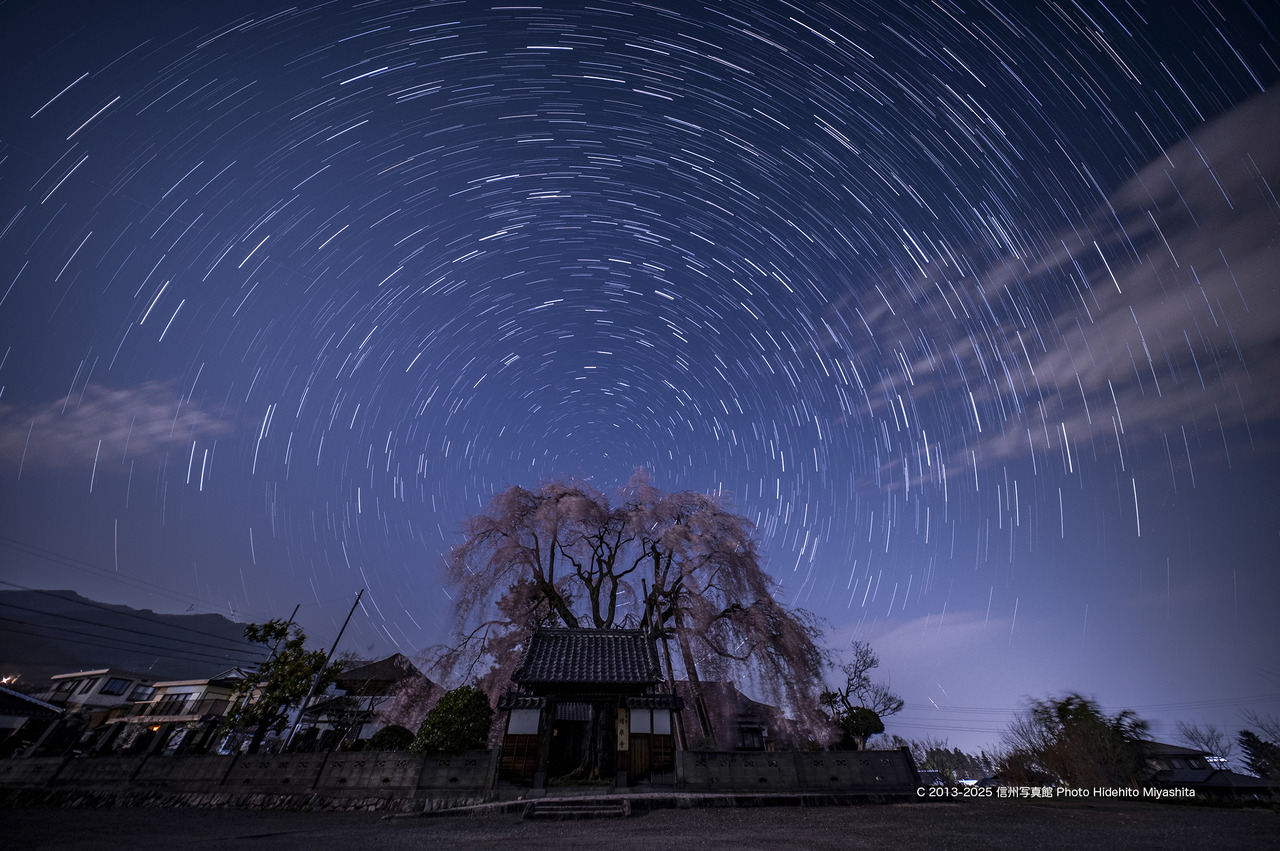 20250409-20250409-DSC_3838 のコピー のコピー