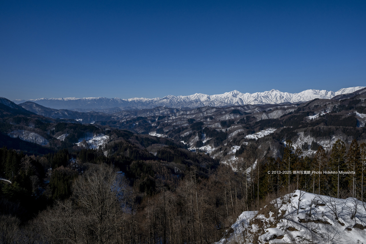20250301-DSC_3650 のコピー