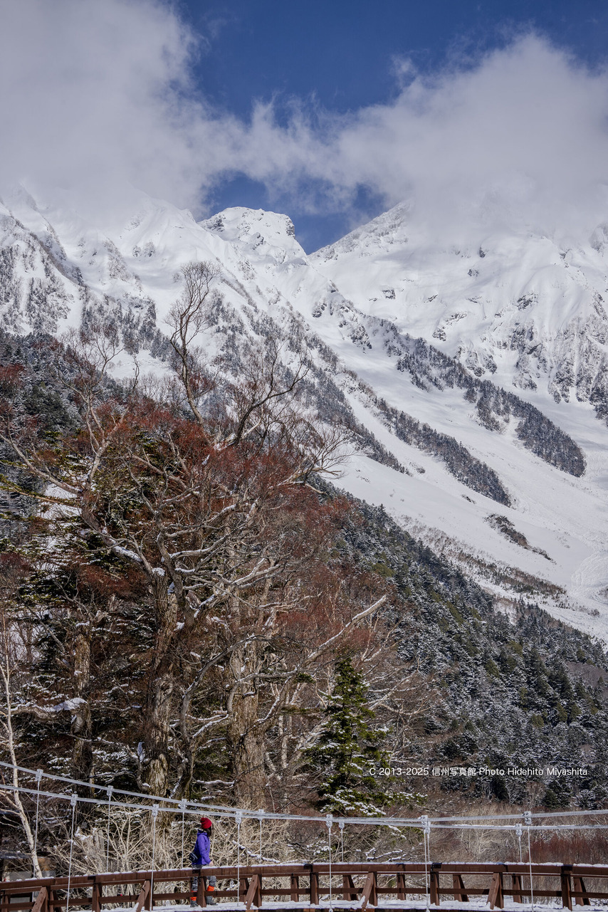 20250309-_DSC4599 のコピー