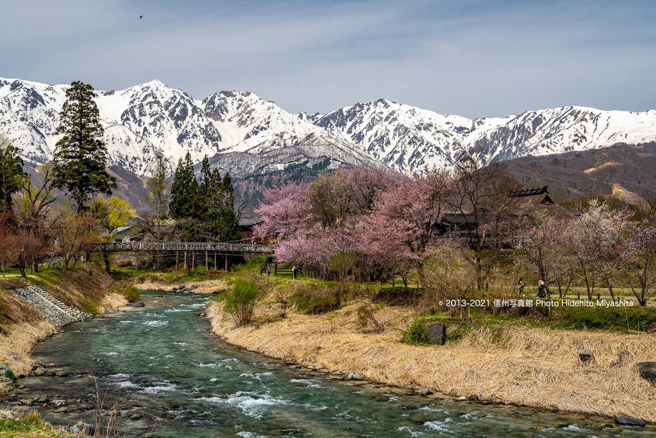 春の大出