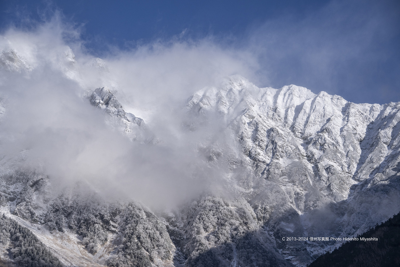 20241123-DSC_4962 のコピー