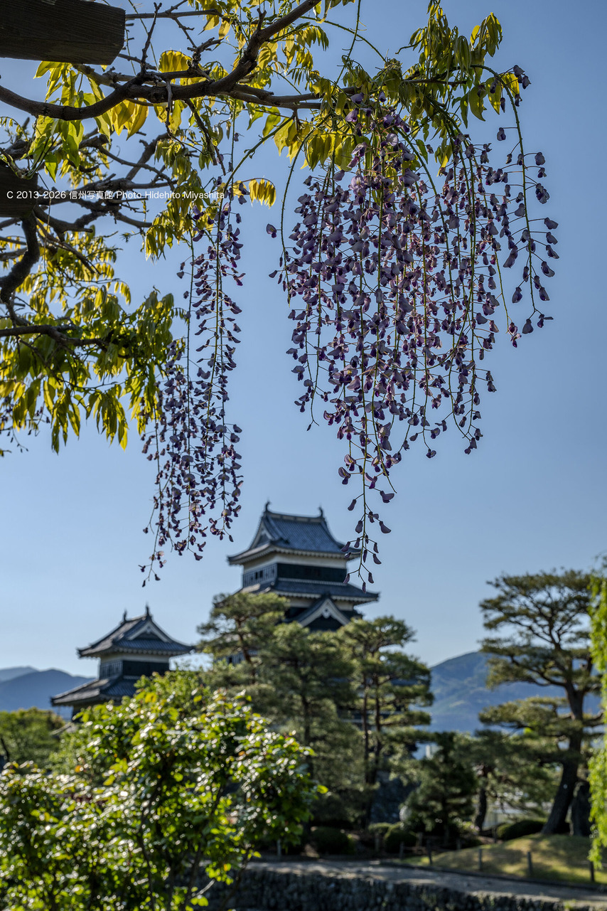 20260502-_DSC0516 のコピー