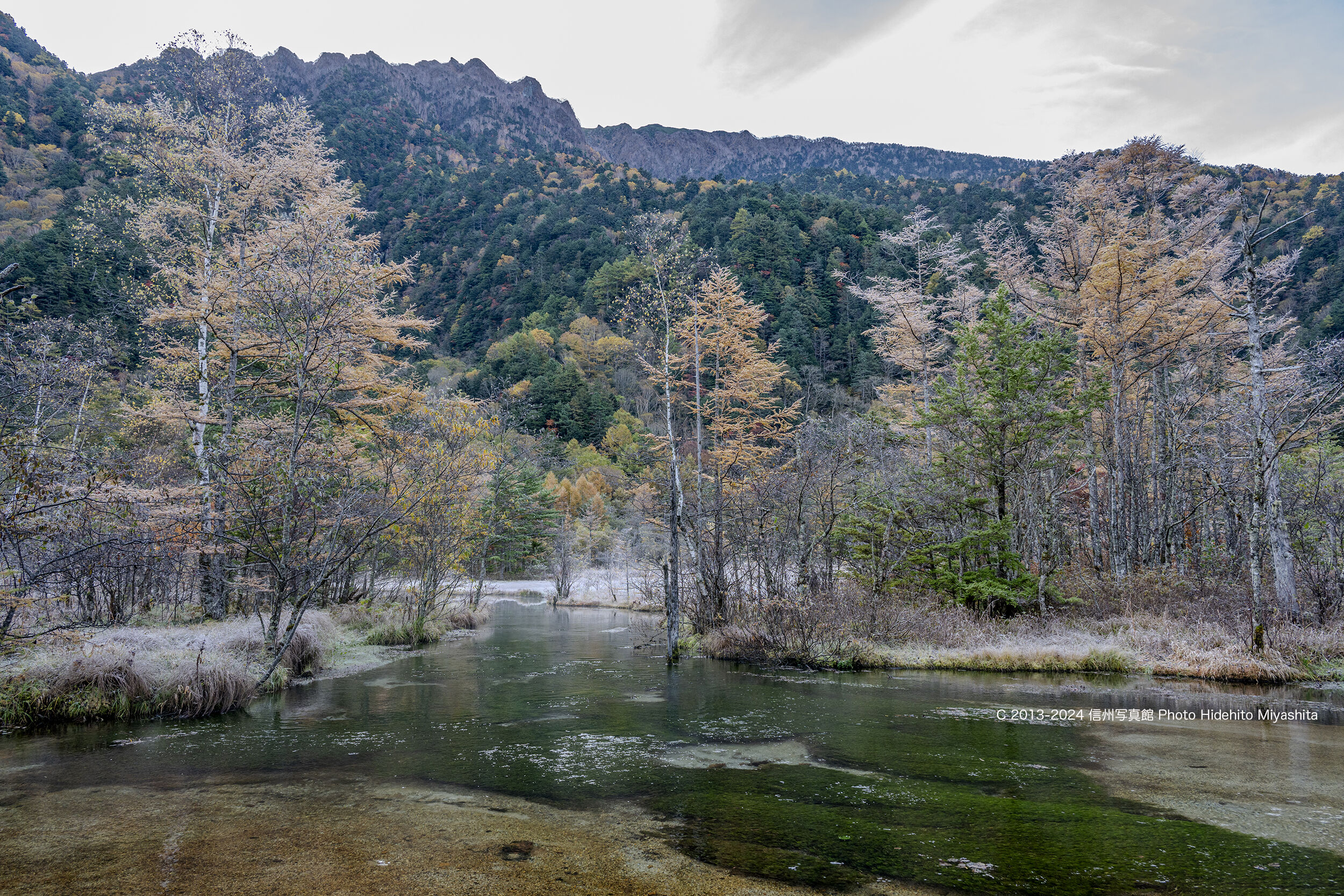 霧氷の田代池 : 信州写真館