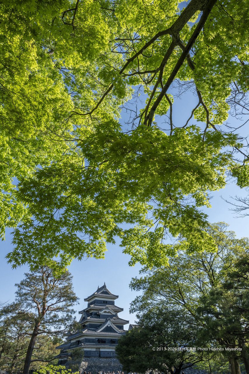 20260502-_DSC0564 のコピー