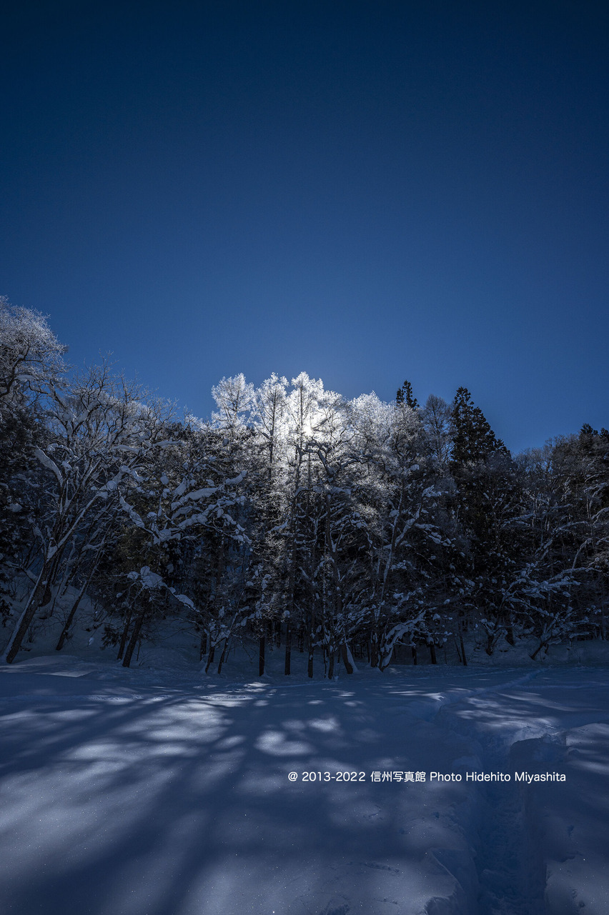 光眩しく_20220122-_DSC5102