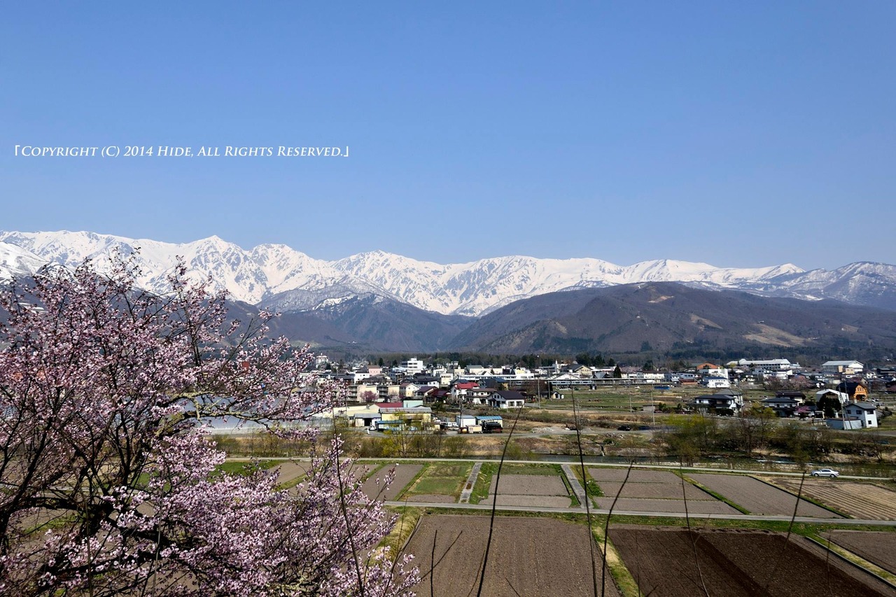 白馬春景