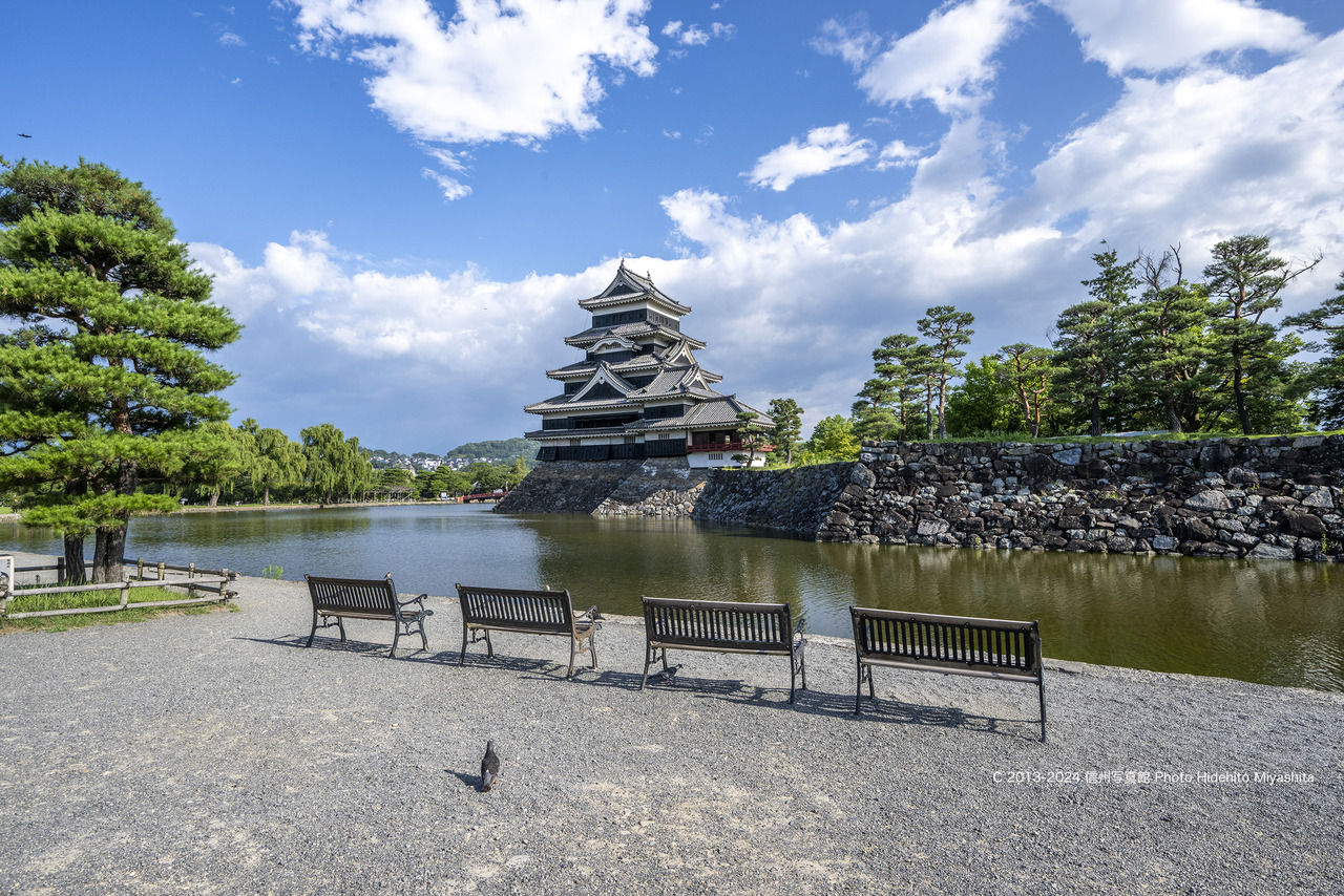 20240720-DSC_8365 のコピー