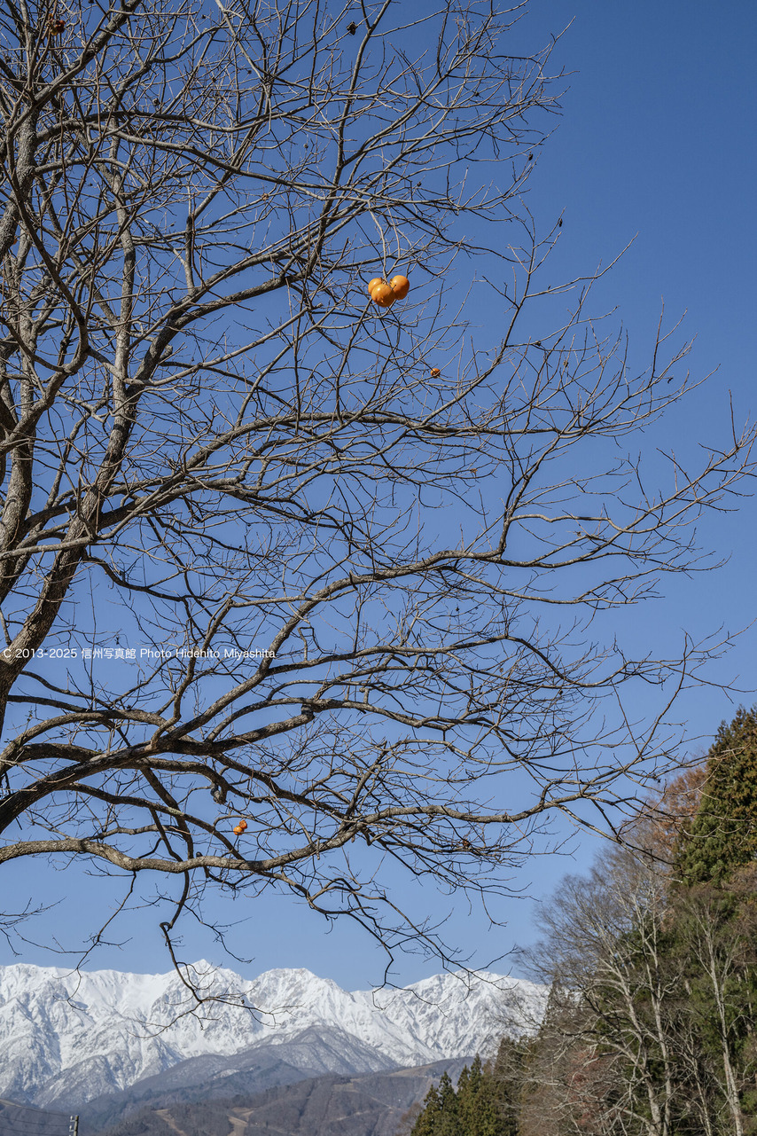 20251130-_DSC0666 のコピー