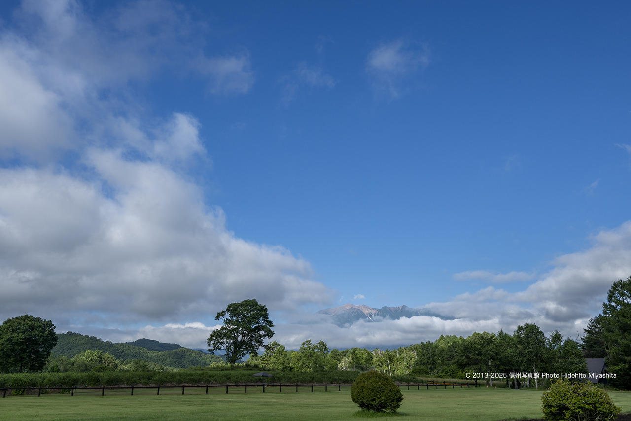 20250726-DSC_5016 のコピー