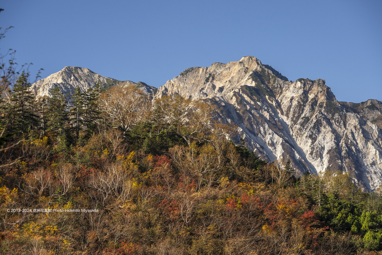 20241014-DSC_8534 のコピー