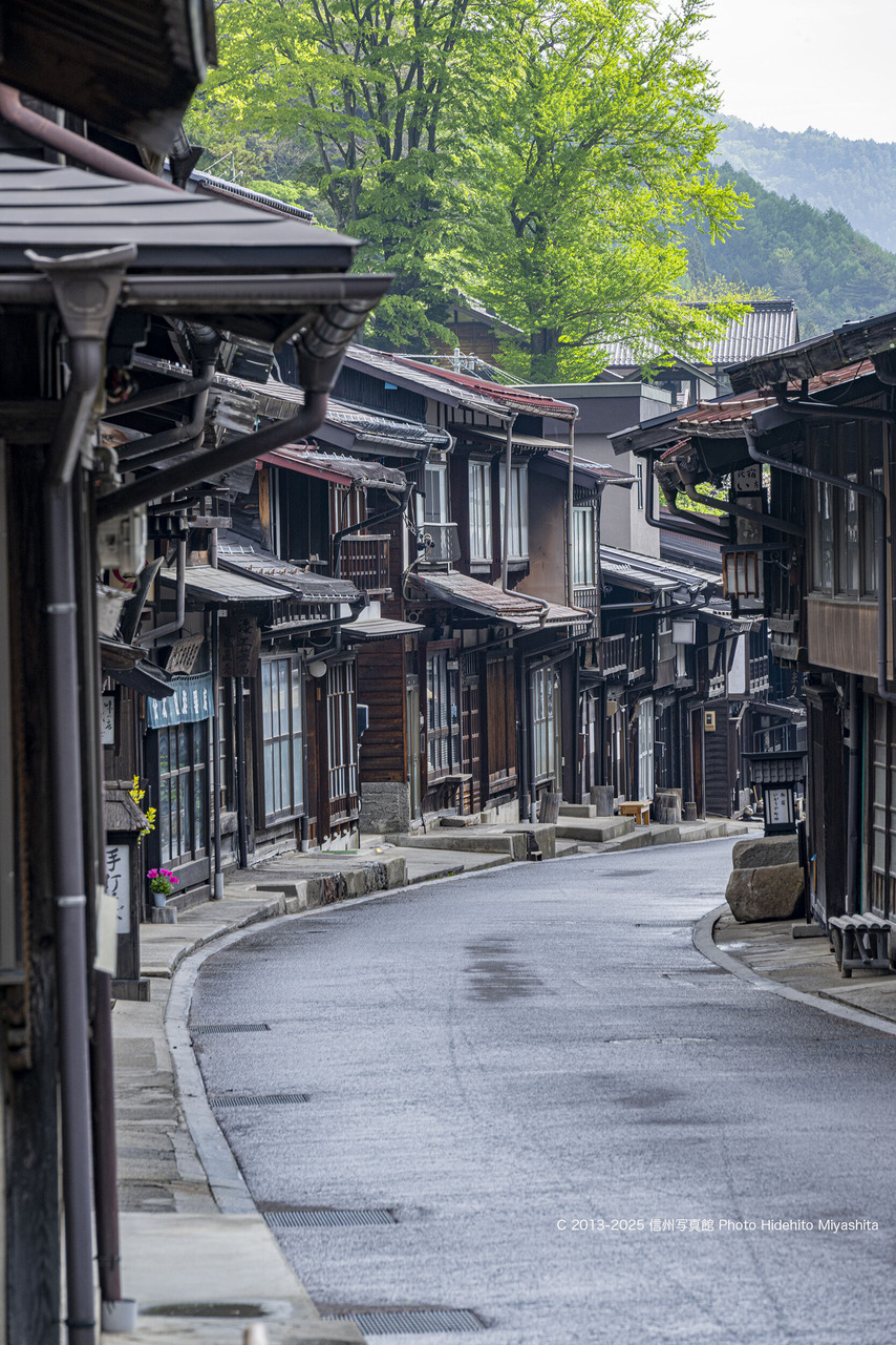 20250518-_DSC7291 のコピー