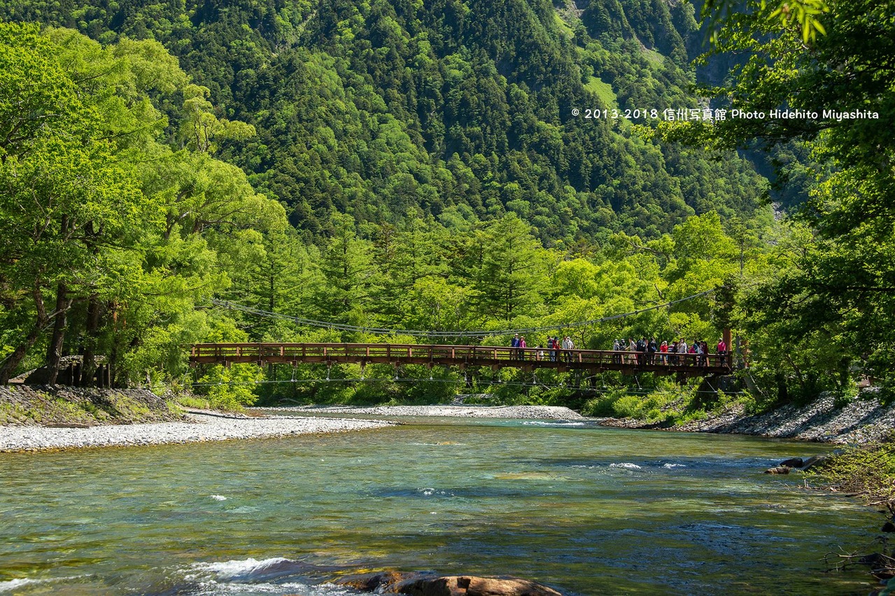 緑の中の河童橋