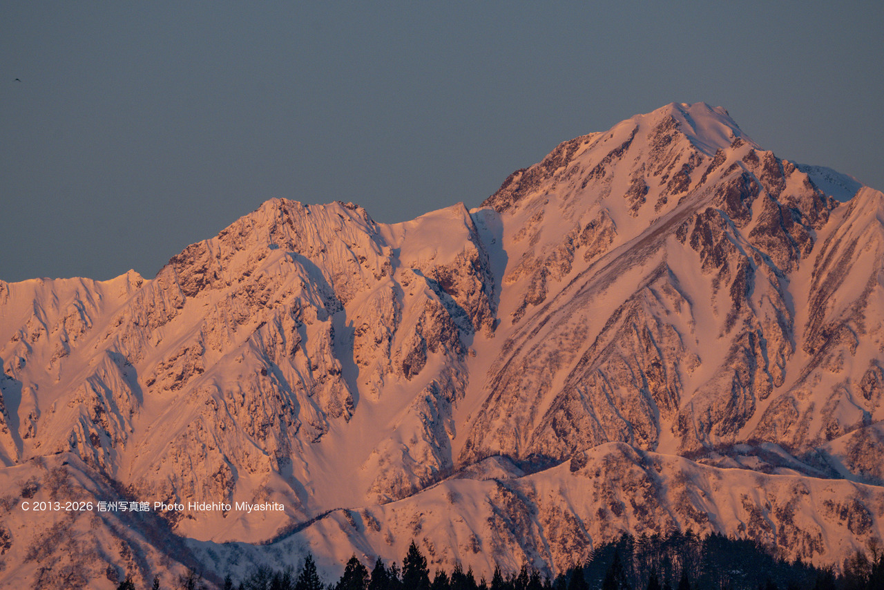 20251229-_DSC6737 のコピー