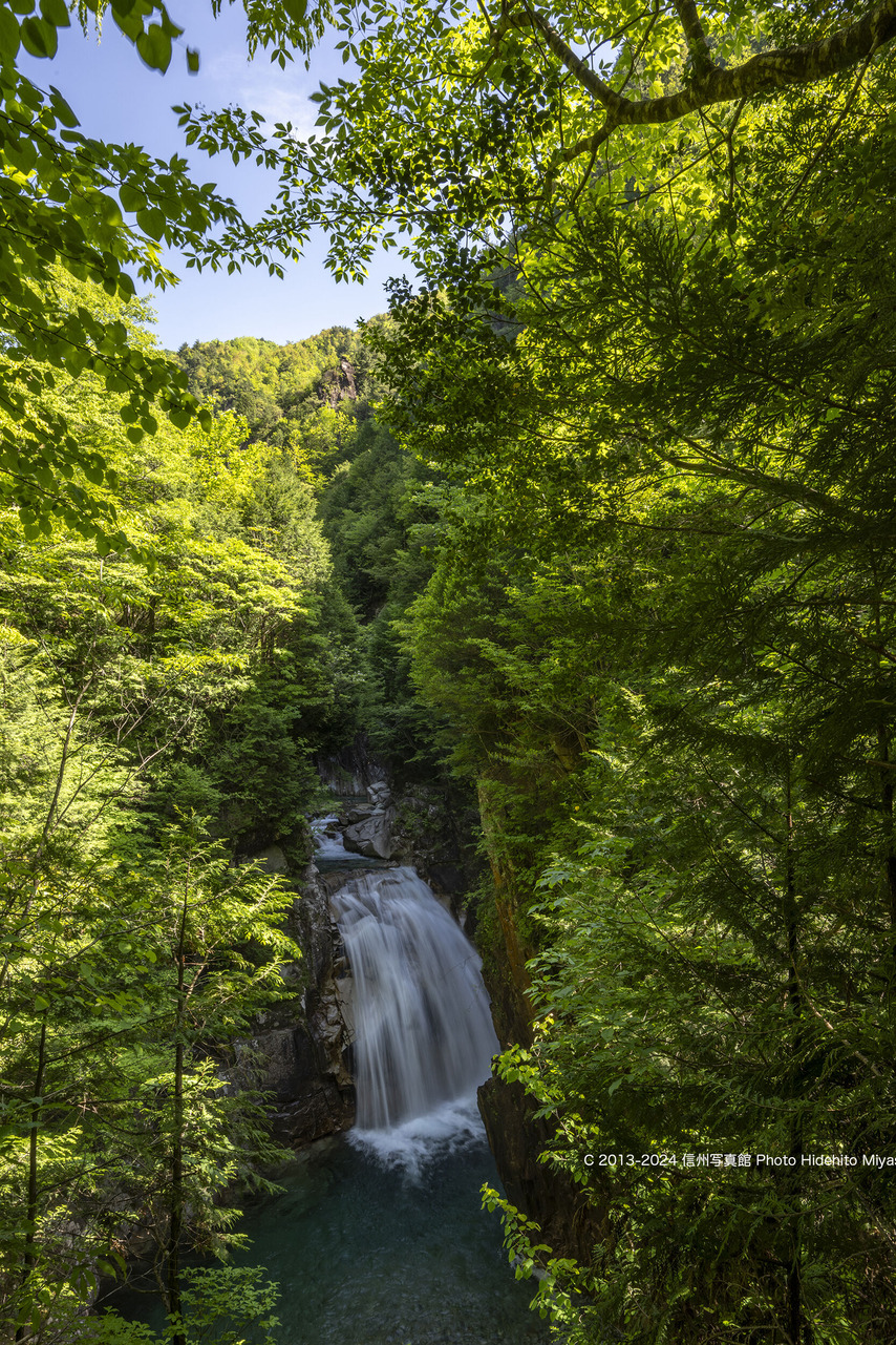 20240518-_DSC1204 のコピー