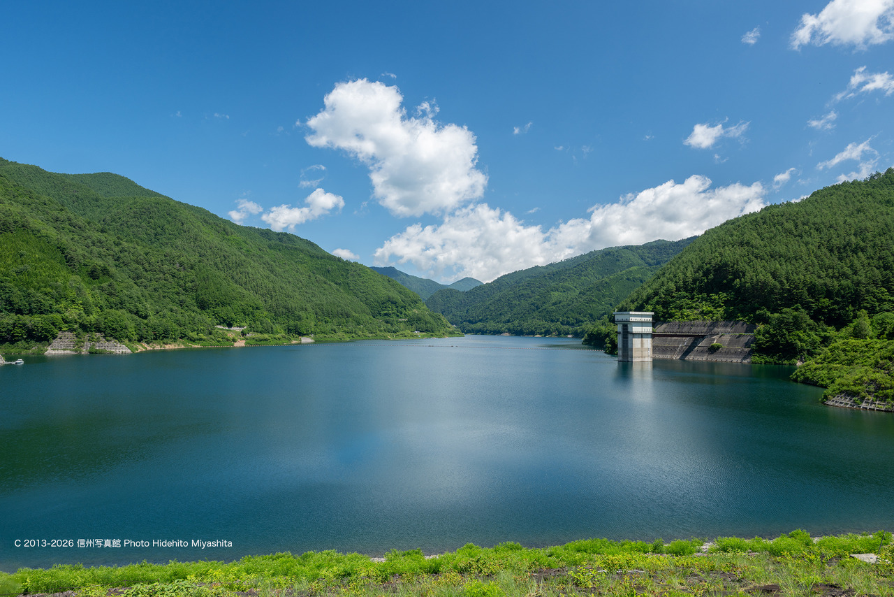 20260725-_DSC8888 のコピー
