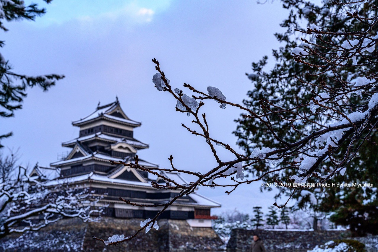 初雪の松本城