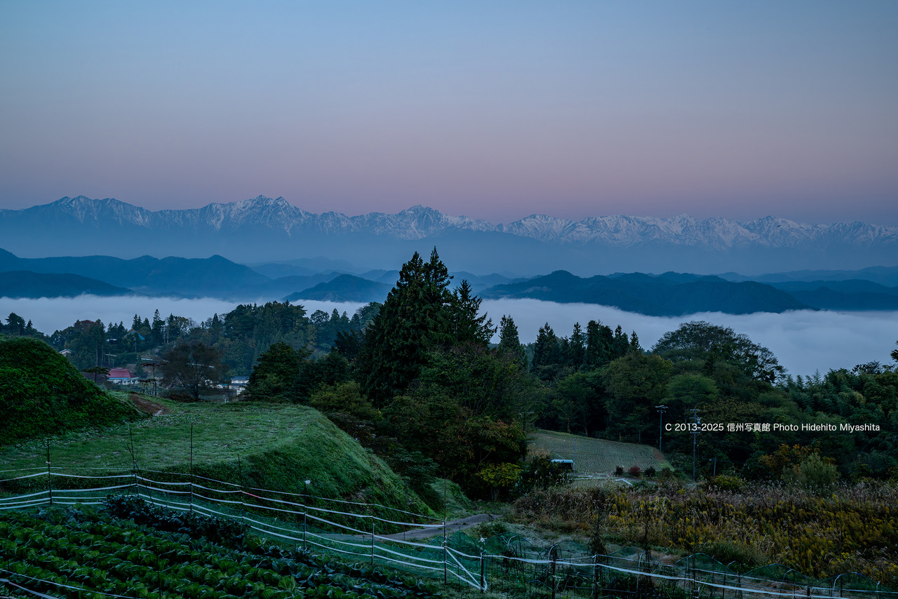 20251030-DSC_5999 のコピー