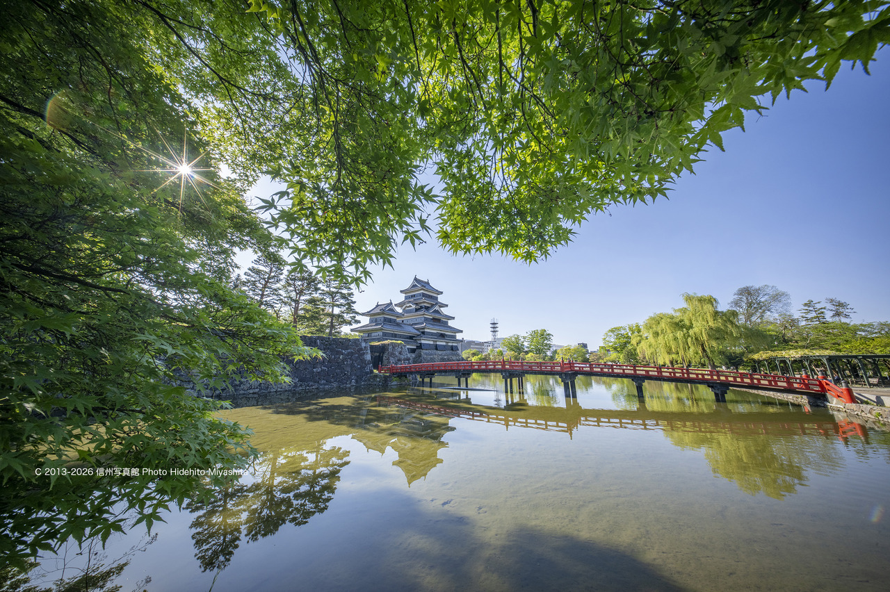 20260502-_DSC9809 のコピー