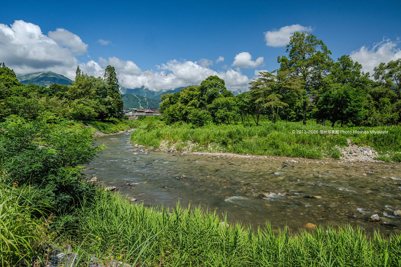 20260810-_DSC0245 のコピー