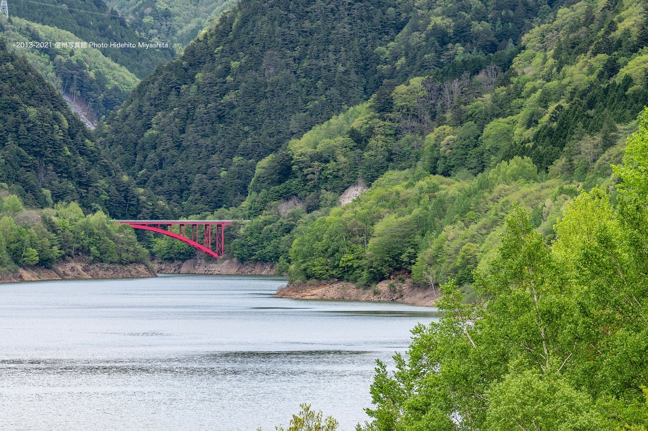 新緑と赤い橋