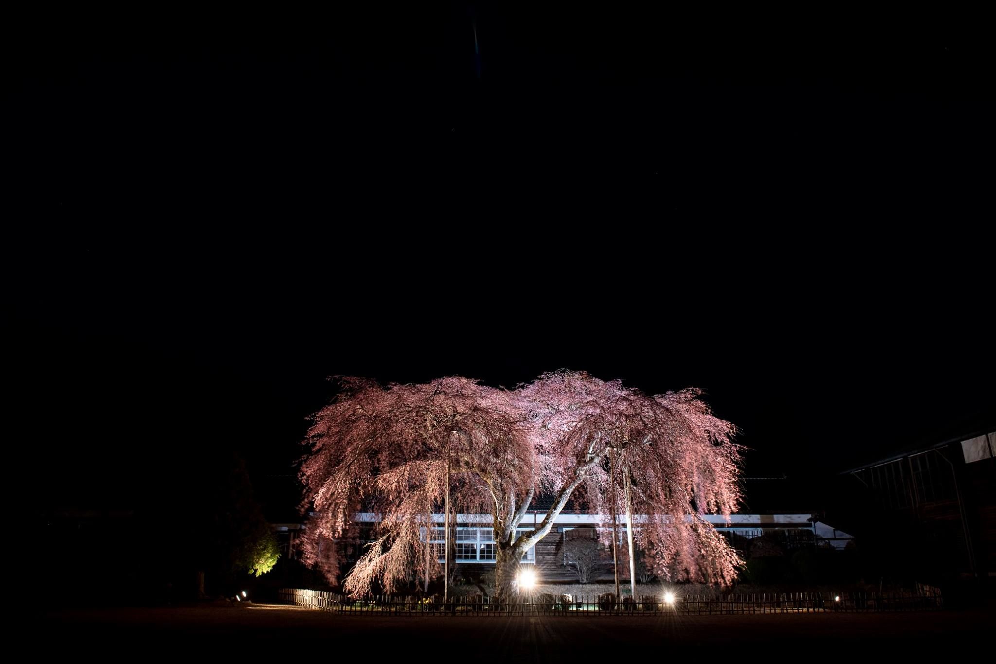 漆黒に浮かぶ : 信州写真館