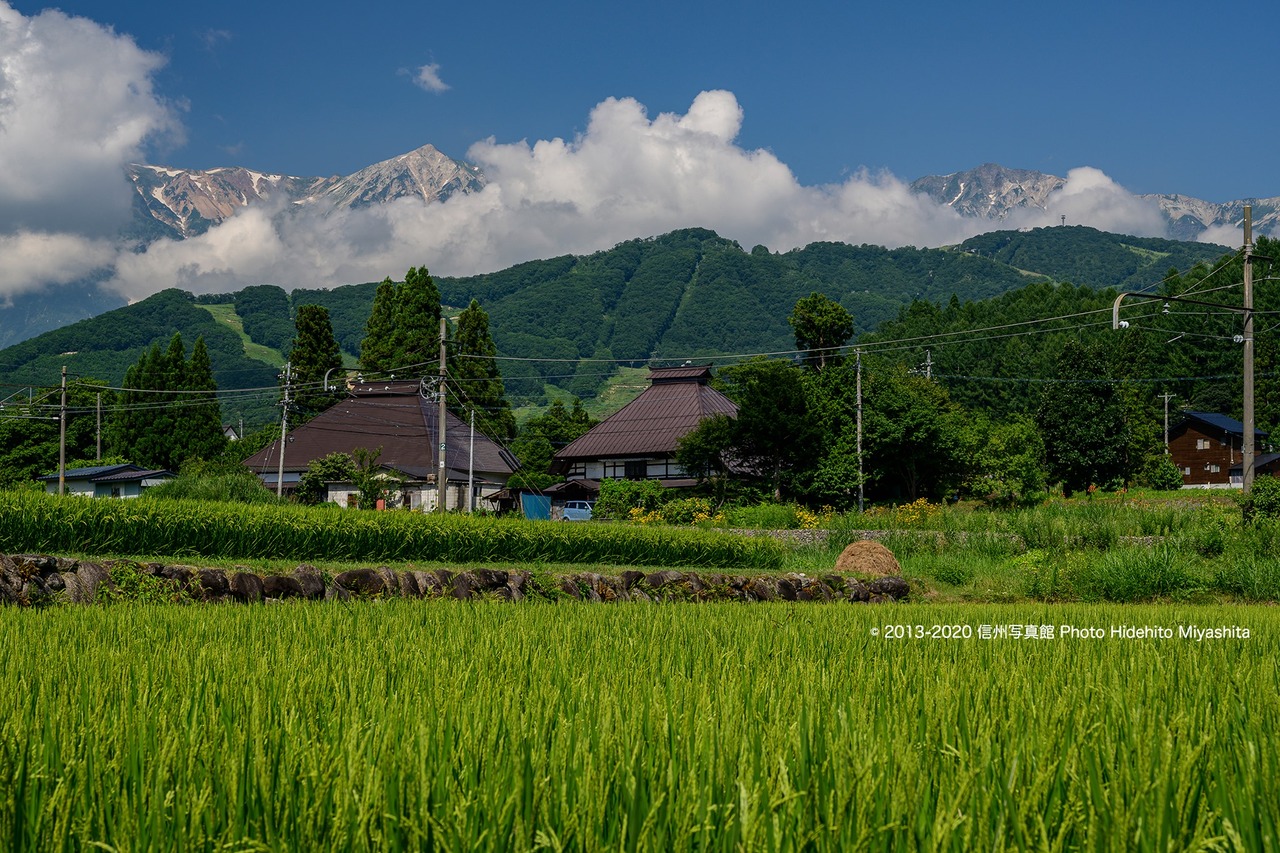 真夏の白馬村