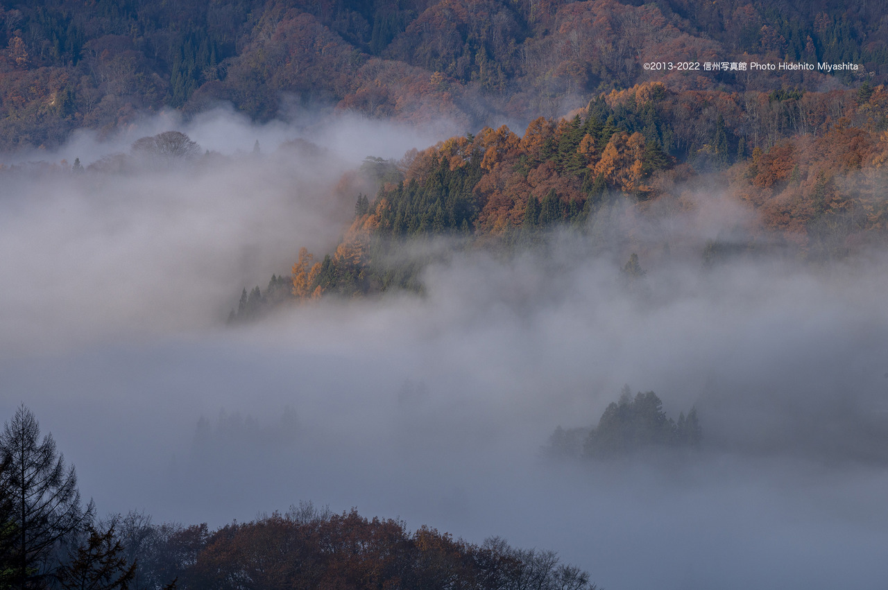雲海と晩秋_20221118-DSC_9547