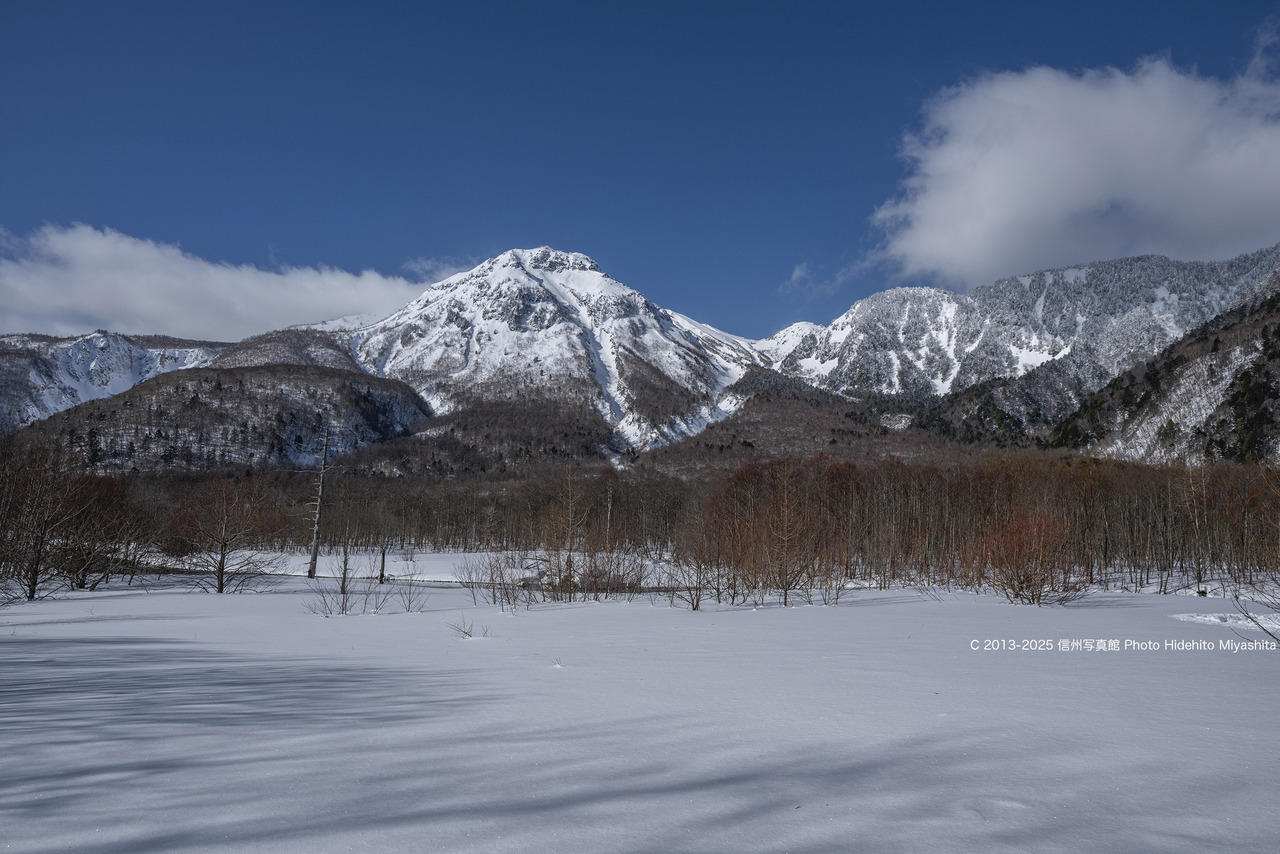 20250201-DSC_9614 のコピー