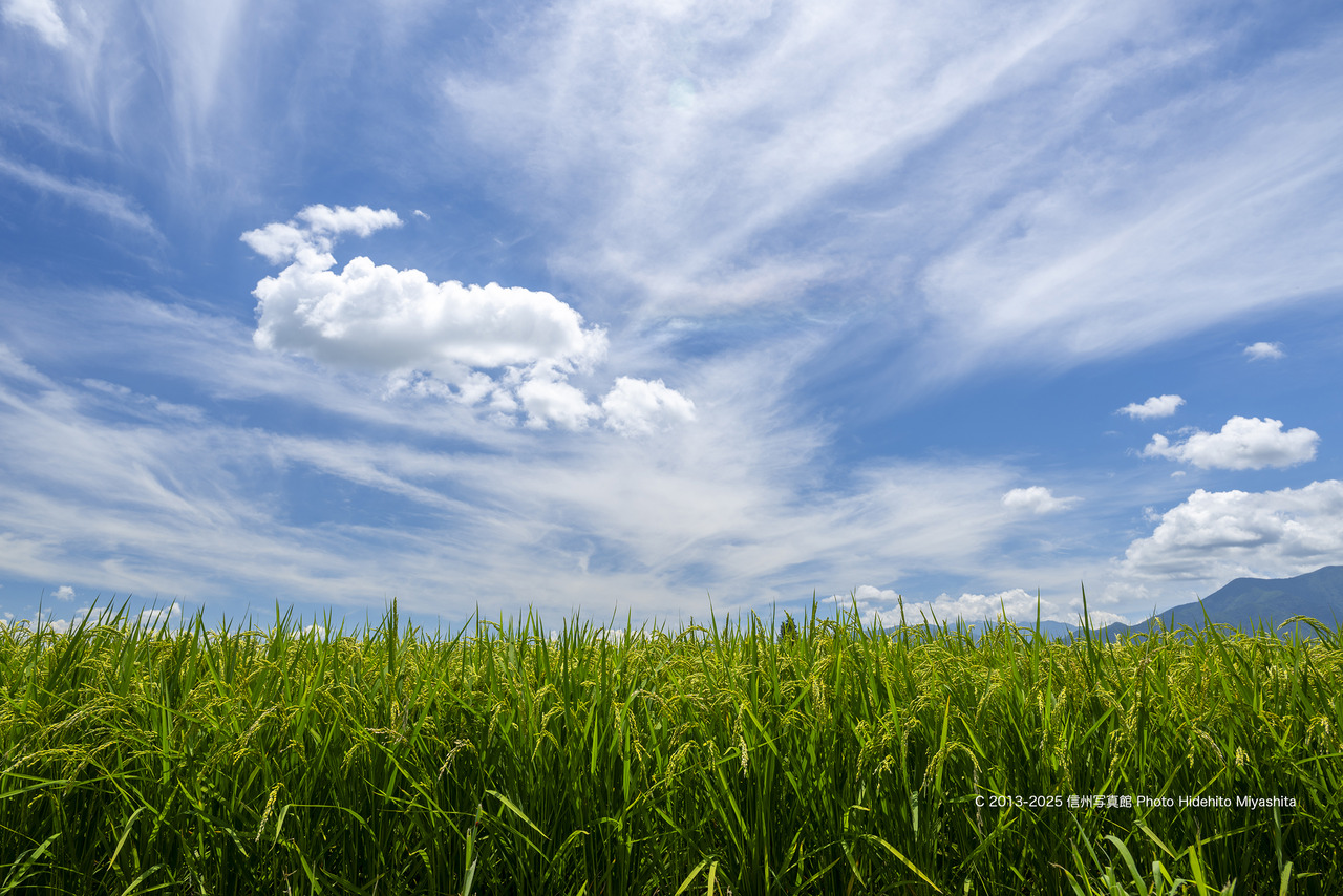 20250802-_DSC8119 のコピー