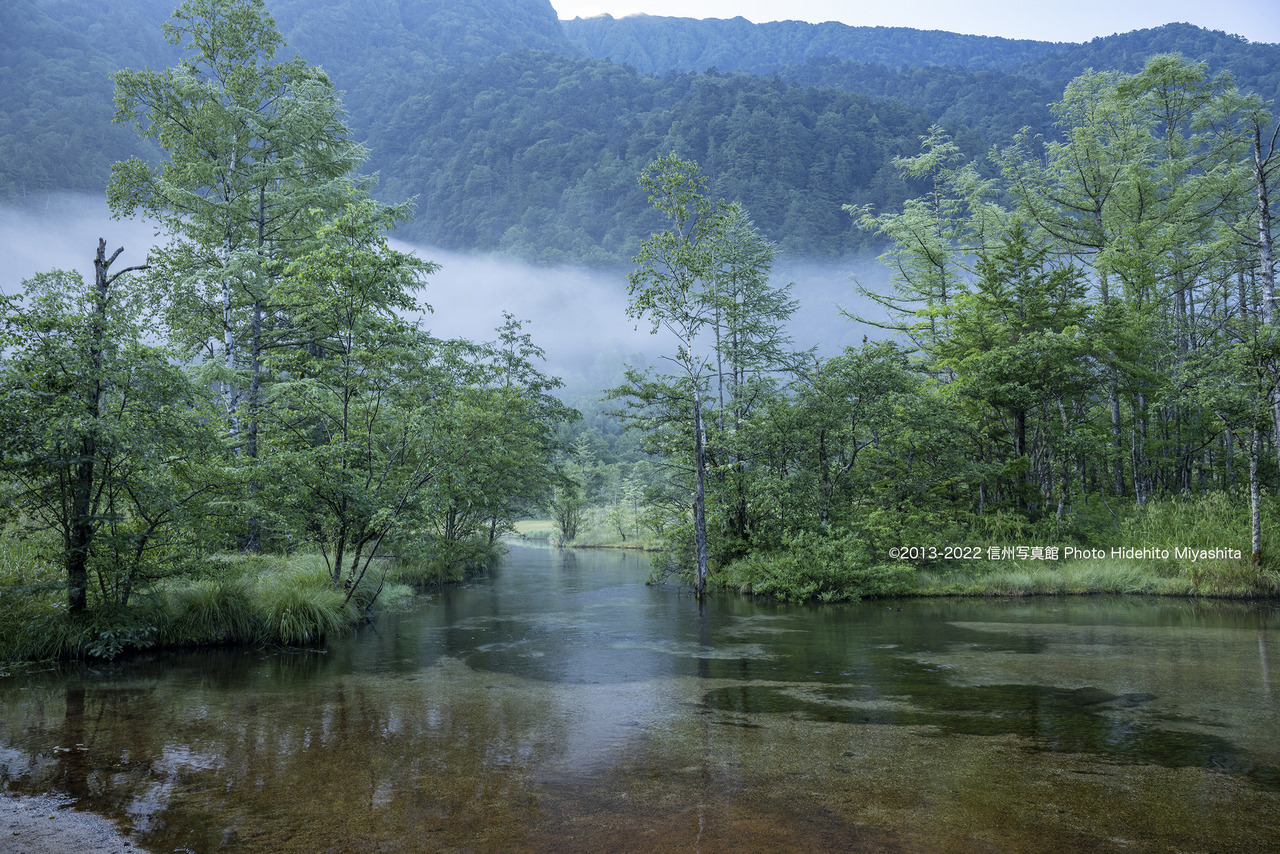 朝靄の田代池 : 信州写真館