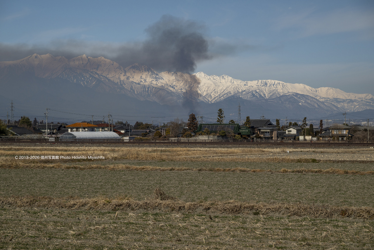 20260221-_DSC9721 のコピー