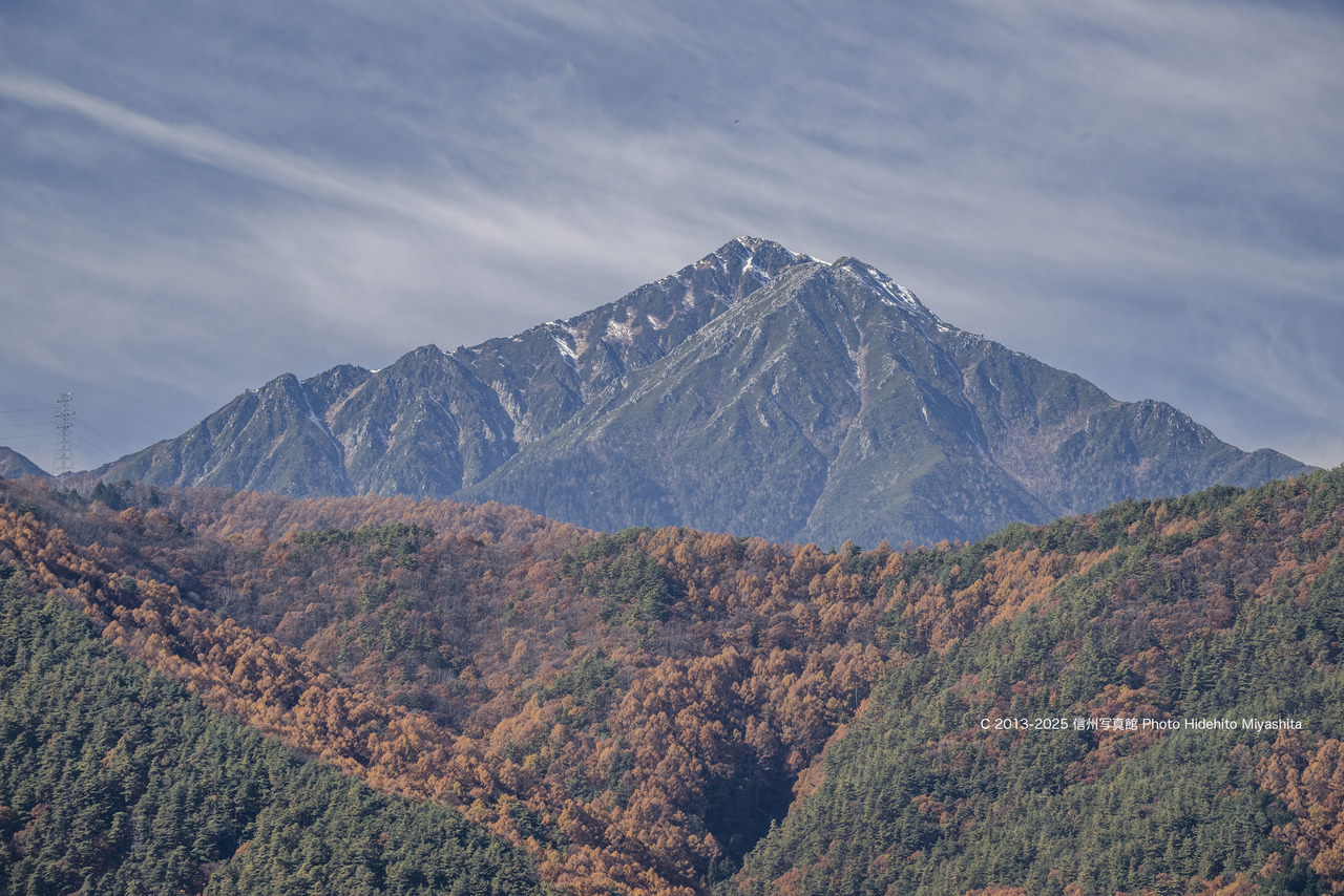 20251116-_DSC1536 のコピー