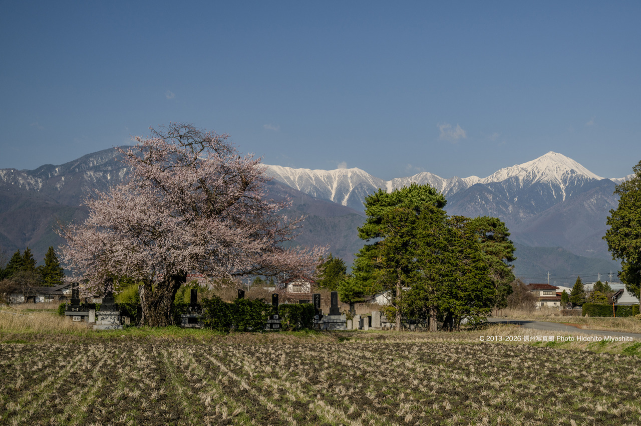 20260403-_DSC5637 のコピー