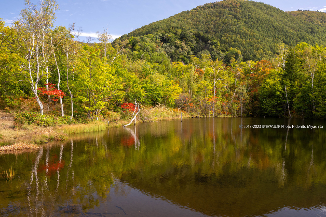 20231007-DSC_8219 のコピー