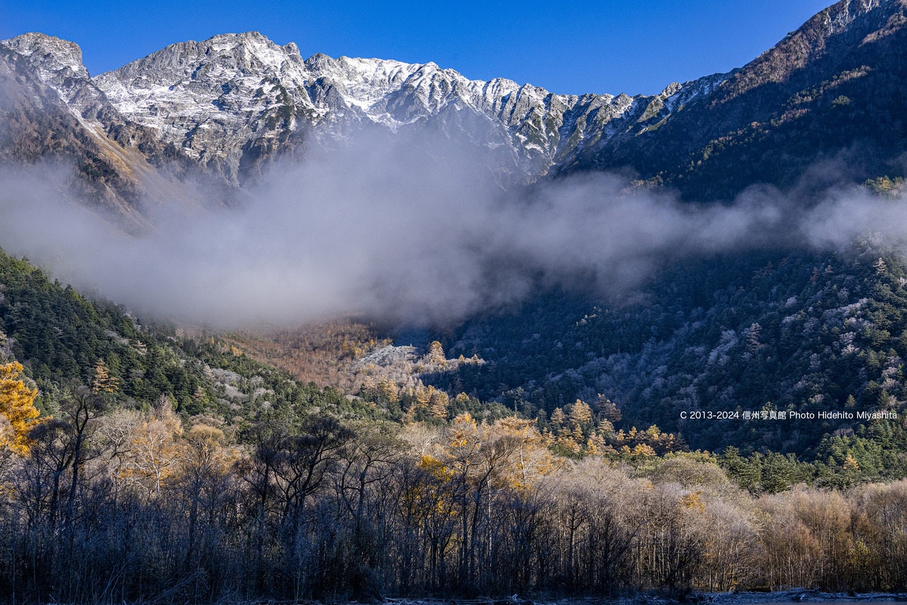 20241108-DSC_2216 のコピー