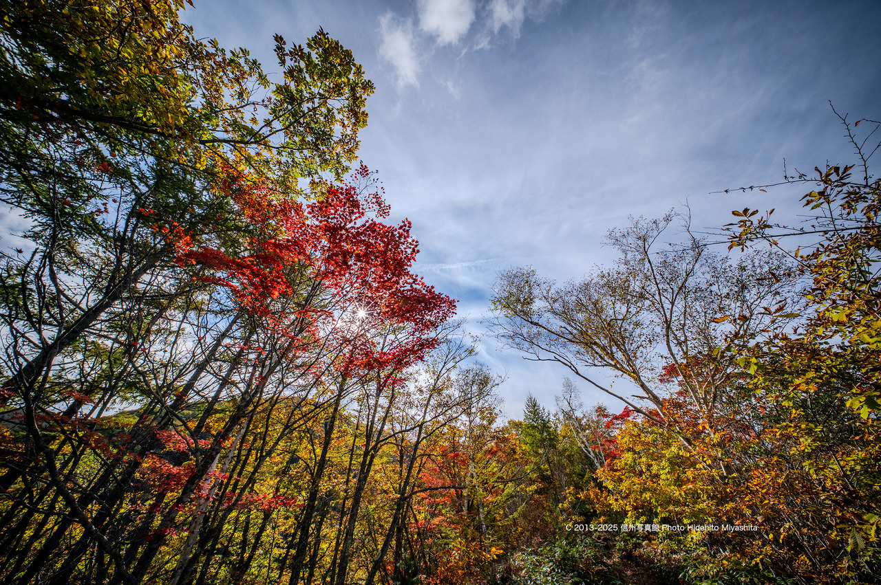 20251025-_DSC1308 のコピー