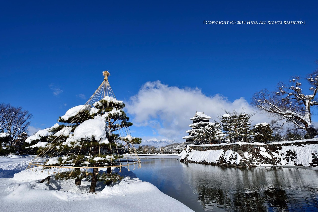 雪吊り