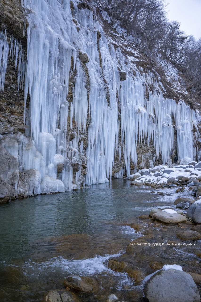 氷柱群_20220130-_DSC7498