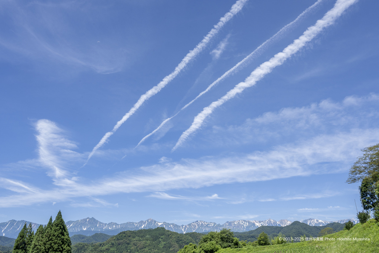 20250719-_DSC5535 のコピー