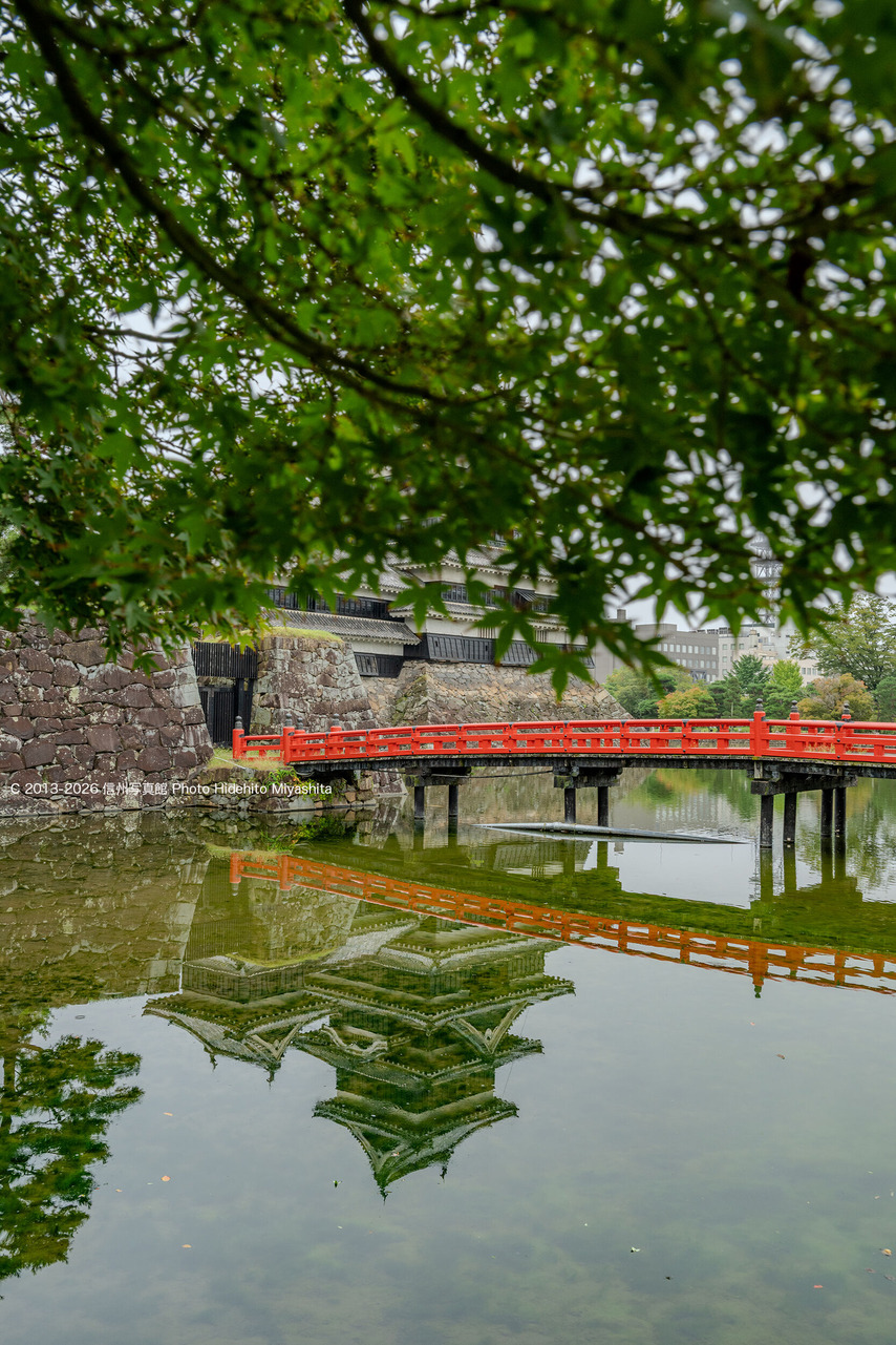 20260912-_DSC2857 のコピー