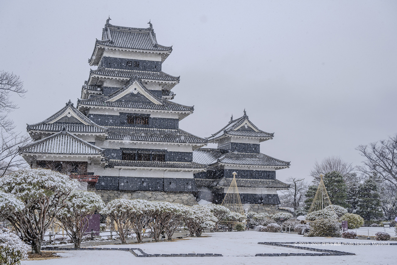 20250202-_DSC1079 のコピー