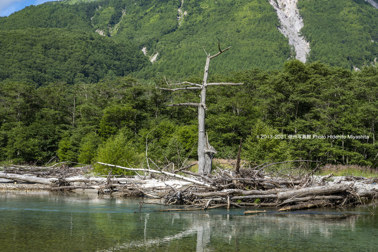 残骸20210807-_DSC7094