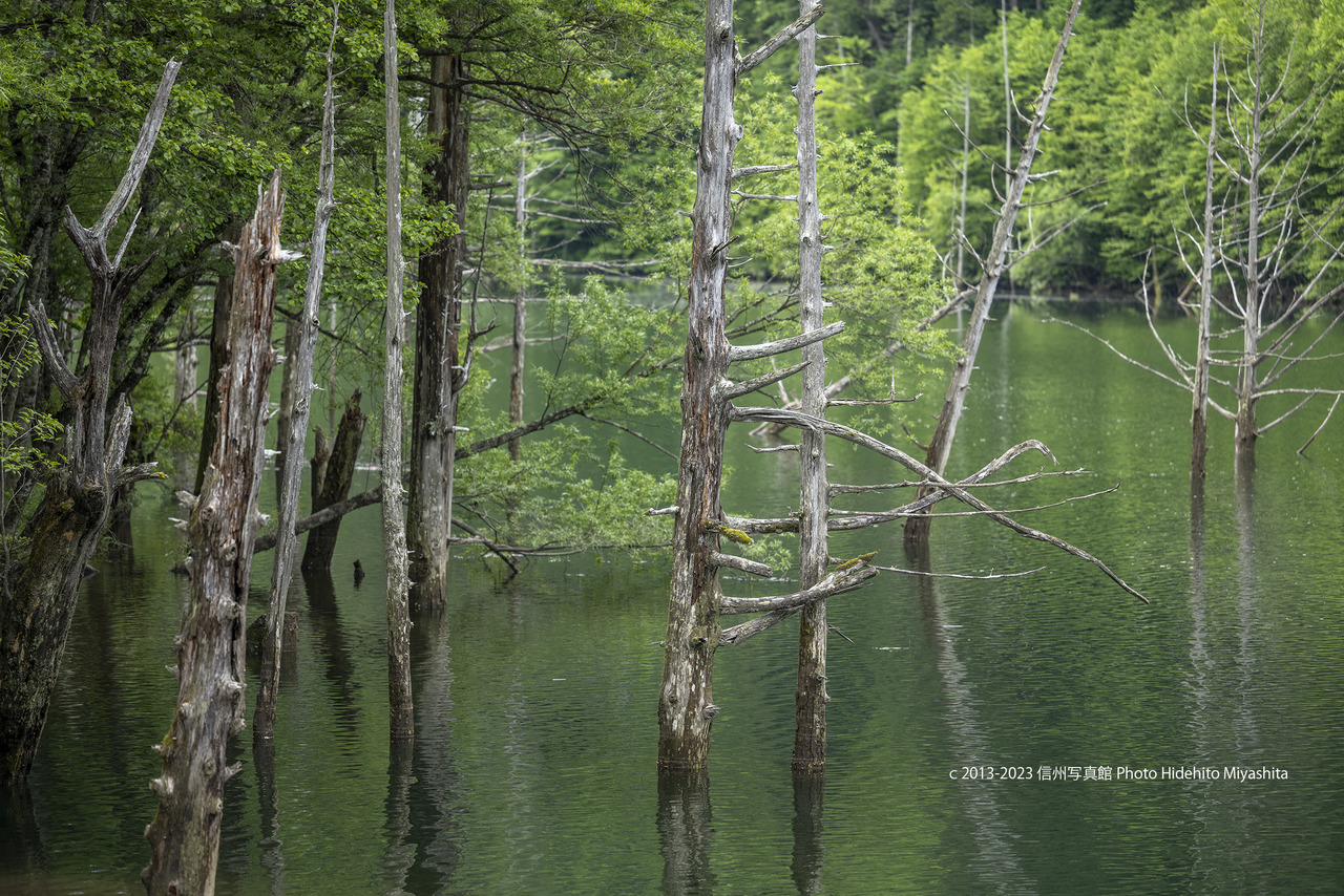 寄り添う20230604-_DSC9411