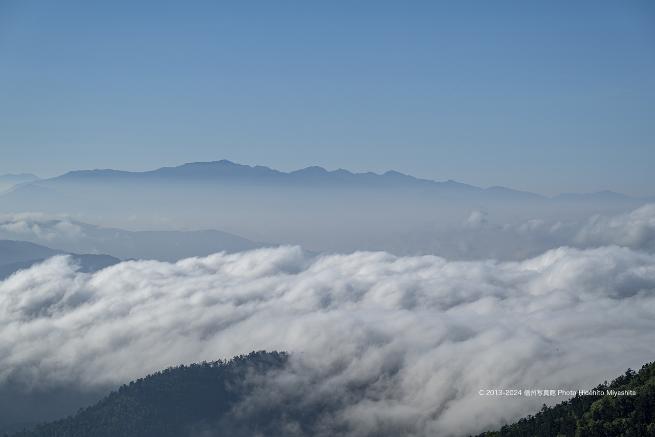 20240907-_DSC6485 のコピー