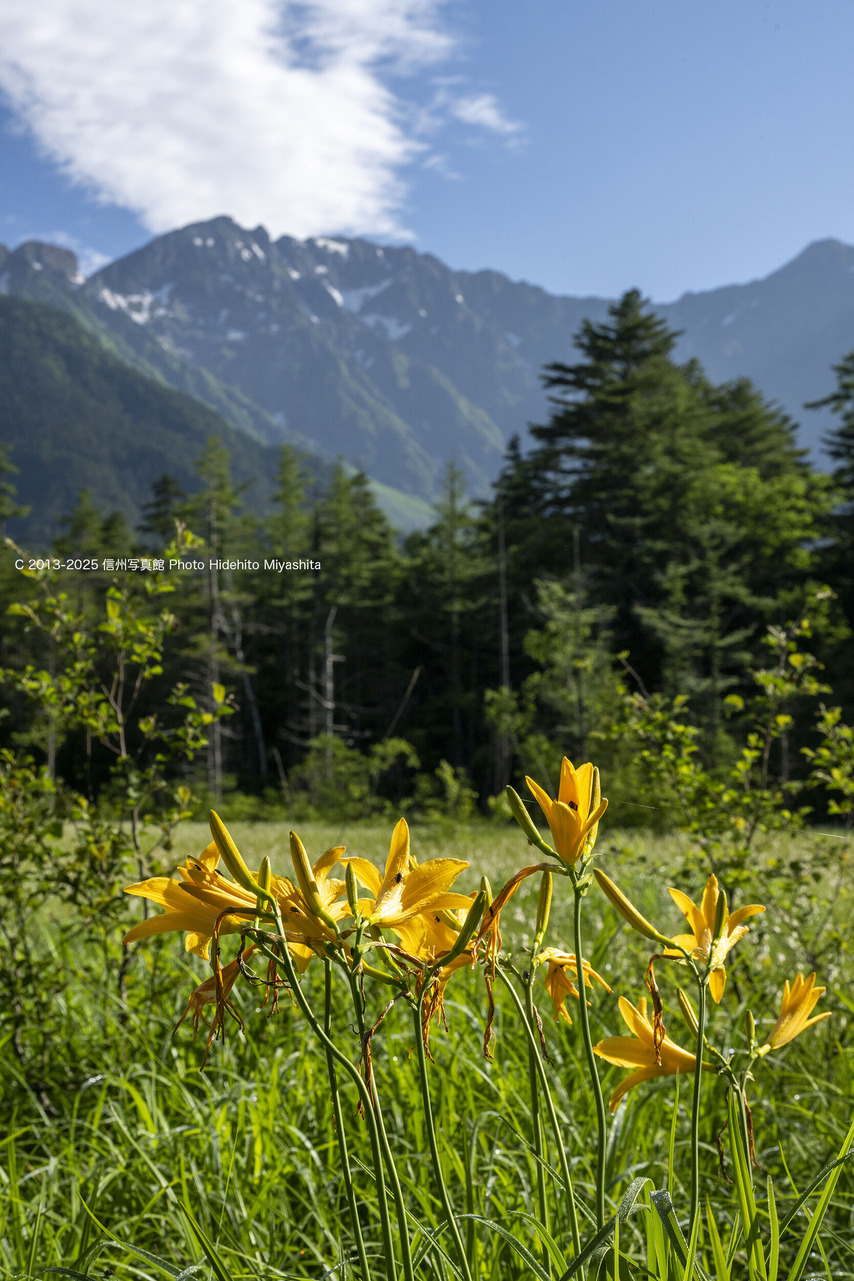 20250629-_DSC1027 のコピー