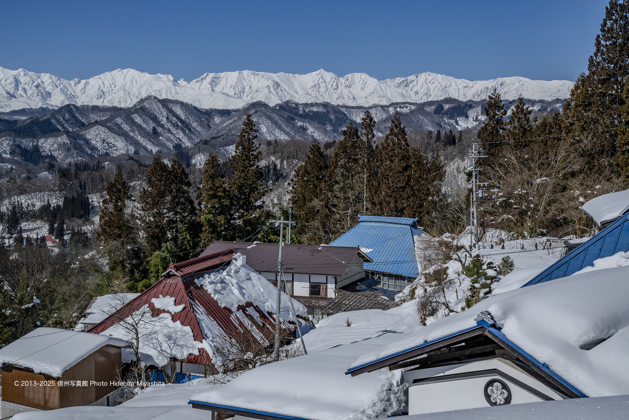 20250215-DSC_1227 のコピー
