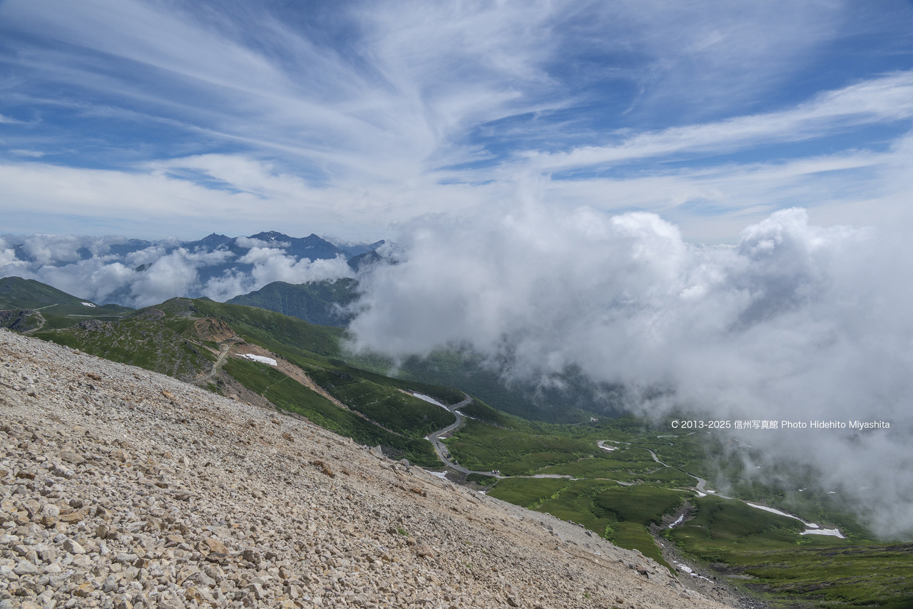 20250712-_DSC1367 のコピー