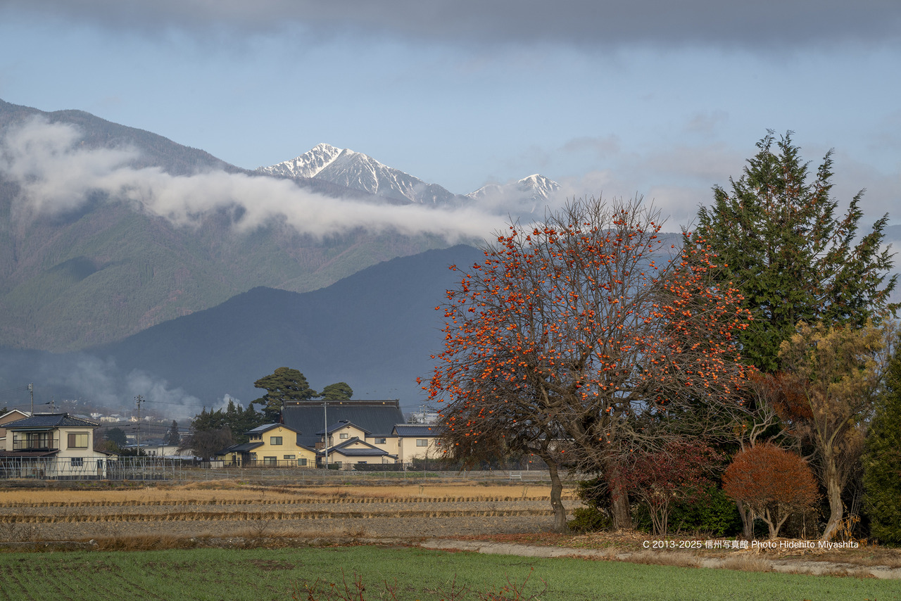 20251202-_DSC0685 のコピー