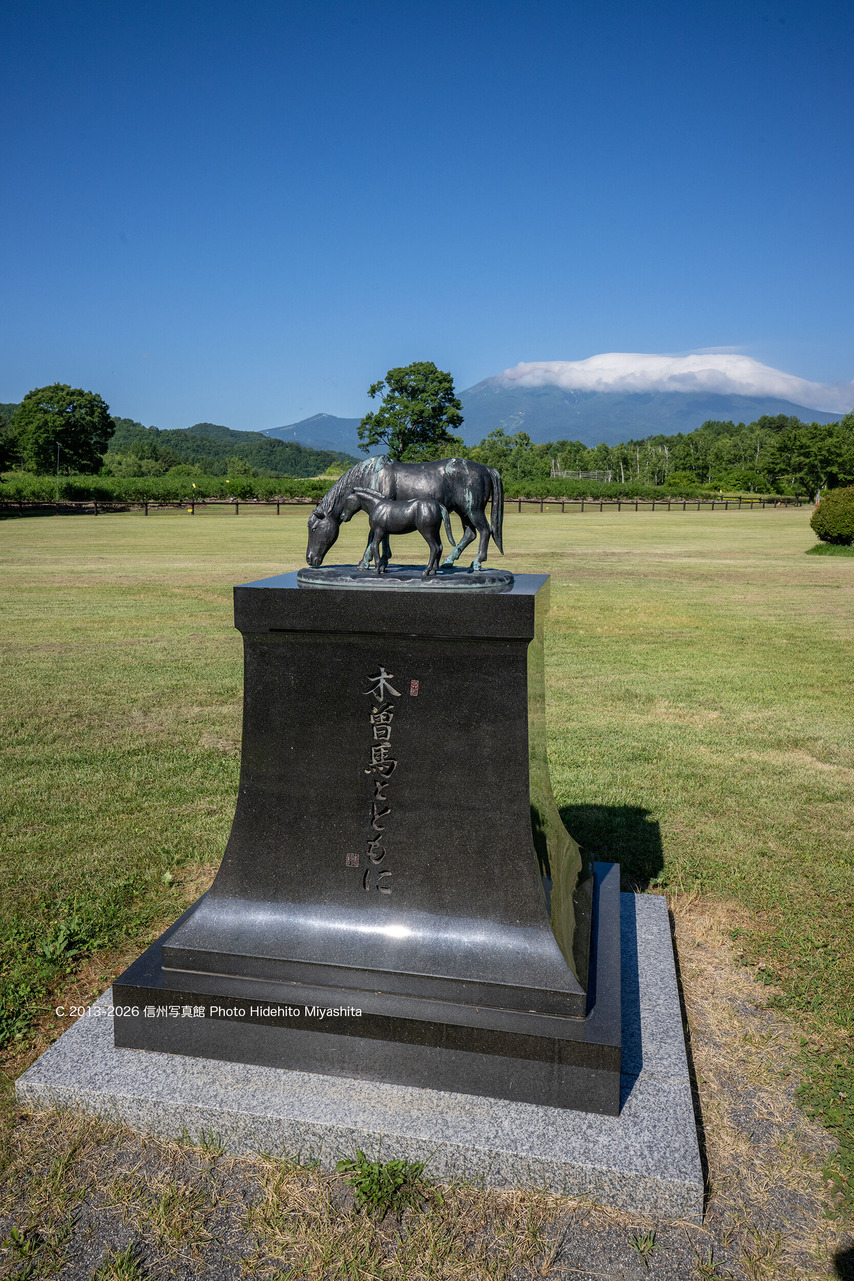 20260725-_DSC6890 のコピー