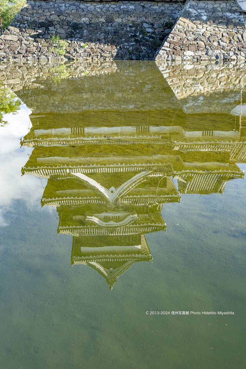 20240901-_DSC6321-強化-NR のコピー